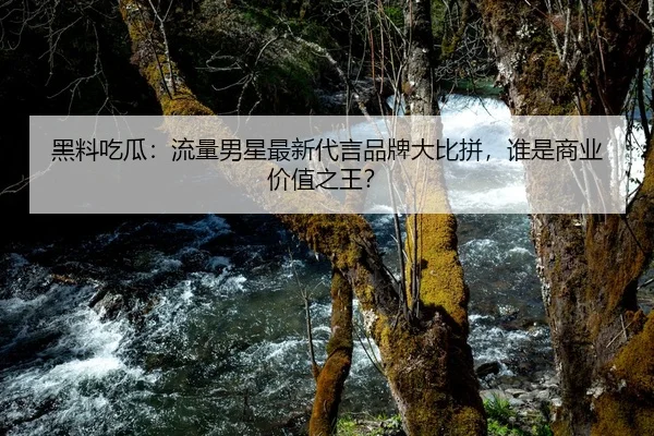 黑料吃瓜：流量男星最新代言品牌大比拼，谁是商业价值之王？